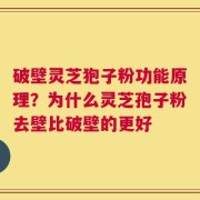 破壁灵芝狍子粉功能原理？为什么灵芝孢子粉去壁比破壁的更好