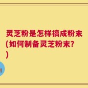 灵芝粉是怎样搞成粉末(如何制备灵芝粉末？)