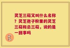灵芝三萜又叫什么名称？灵芝孢子粉里的灵芝三萜和总三萜，说的是一回事吗