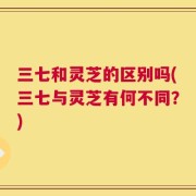 三七和灵芝的区别吗(三七与灵芝有何不同？)