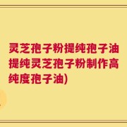 灵芝孢子粉提纯孢子油提纯灵芝孢子粉制作高纯度孢子油)