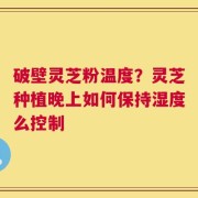 破壁灵芝粉温度？灵芝种植晚上如何保持湿度么控制