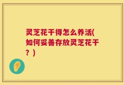 灵芝花干得怎么养活(如何妥善存放灵芝花干？)
