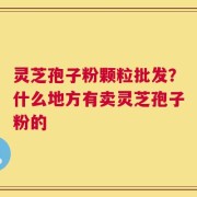 灵芝孢子粉颗粒批发？什么地方有卖灵芝孢子粉的