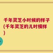 千年灵芝小时候的样子(千年灵芝的儿时模样)