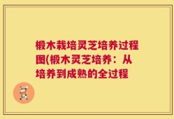 椴木栽培灵芝培养过程图(椴木灵芝培养：从培养到成熟的全过程