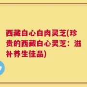 西藏白心白肉灵芝(珍贵的西藏白心灵芝：滋补养生佳品)