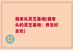 倔老头灵芝基地(倔老头的灵芝基地：养生好去处)