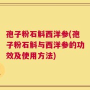 孢子粉石斛西洋参(孢子粉石斛与西洋参的功效及使用方法)