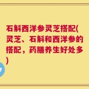 石斛西洋参灵芝搭配(灵芝、石斛和西洋参的搭配，药膳养生好处多)