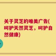 关于灵芝的唯美广告(呵护天然灵芝，呵护自然健康)