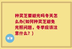 种灵芝要避光吗冬天怎么办(如何种灵芝避免光照问题，冬季应该注意什么？)
