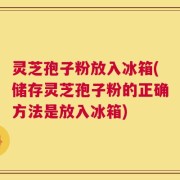 灵芝孢子粉放入冰箱(储存灵芝孢子粉的正确方法是放入冰箱)