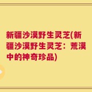 新疆沙漠野生灵芝(新疆沙漠野生灵芝：荒漠中的神奇珍品)