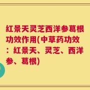 红景天灵芝西洋参葛根功效作用(中草药功效：红景天、灵芝、西洋参、葛根)