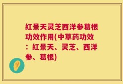 红景天灵芝西洋参葛根功效作用(中草药功效：红景天、灵芝、西洋参、葛根)