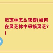 灵芝林怎么获得(如何在灵芝林中采摘灵芝？)