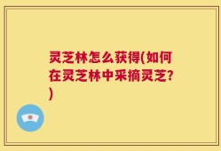 灵芝林怎么获得(如何在灵芝林中采摘灵芝？)