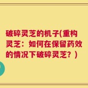 破碎灵芝的机子(重构灵芝：如何在保留药效的情况下破碎灵芝？)