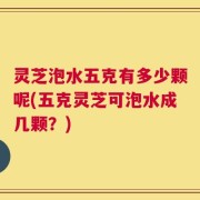 灵芝泡水五克有多少颗呢(五克灵芝可泡水成几颗？)