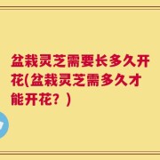 盆栽灵芝需要长多久开花(盆栽灵芝需多久才能开花？)