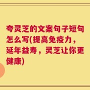 夸灵芝的文案句子短句怎么写(提高免疫力，延年益寿，灵芝让你更健康)