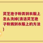 灵芝孢子粉弄到衣服上怎么洗掉(清洁灵芝孢子粉溅到衣服上的方法)