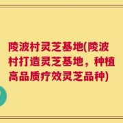陵波村灵芝基地(陵波村打造灵芝基地，种植高品质疗效灵芝品种)