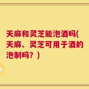天麻和灵芝能泡酒吗(天麻、灵芝可用于酒的泡制吗？)