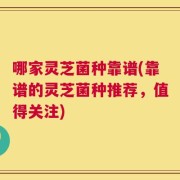 哪家灵芝菌种靠谱(靠谱的灵芝菌种推荐，值得关注)