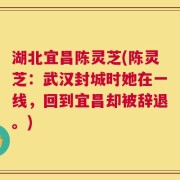 湖北宜昌陈灵芝(陈灵芝：武汉封城时她在一线，回到宜昌却被辞退。)