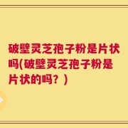 破壁灵芝孢子粉是片状吗(破壁灵芝孢子粉是片状的吗？)