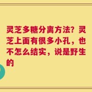 灵芝多糖分离方法？灵芝上面有很多小孔，也不怎么结实，说是野生的