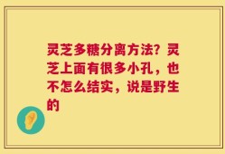 灵芝多糖分离方法？灵芝上面有很多小孔，也不怎么结实，说是野生的