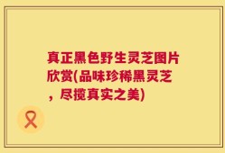 真正黑色野生灵芝图片欣赏(品味珍稀黑灵芝，尽揽真实之美)