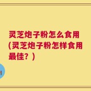 灵芝炮子粉怎么食用 (灵芝炮子粉怎样食用最佳？)