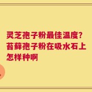 灵芝孢子粉最佳温度？苔藓孢子粉在吸水石上怎样种啊