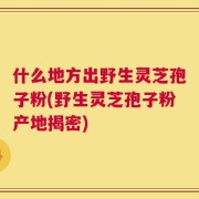 什么地方出野生灵芝孢子粉(野生灵芝孢子粉产地揭密)