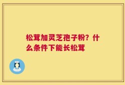 松茸加灵芝孢子粉？什么条件下能长松茸