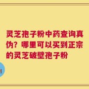 灵芝孢子粉中药查询真伪？哪里可以买到正宗的灵芝破壁孢子粉