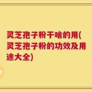 灵芝孢子粉干啥的用(灵芝孢子粉的功效及用途大全)