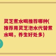 灵芝煮水喝推荐哪种(推荐用灵芝泡水代替煮水喝，养生好处多)