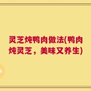 灵芝炖鸭肉做法(鸭肉炖灵芝，美味又养生)