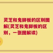 灵芝和鬼脚板的区别图解(灵芝和鬼脚板的区别，一张图解读)