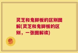 灵芝和鬼脚板的区别图解(灵芝和鬼脚板的区别，一张图解读)