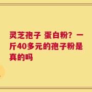 灵芝孢子 蛋白粉？一斤40多元的孢子粉是真的吗