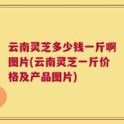 云南灵芝多少钱一斤啊图片(云南灵芝一斤价格及产品图片)
