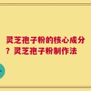 灵芝孢子粉的核心成分？灵芝孢子粉制作法