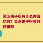 灵芝孢子粉有什么神奇功效？灵芝孢子粉有何作用呢