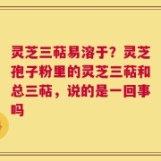 灵芝三萜易溶于？灵芝孢子粉里的灵芝三萜和总三萜，说的是一回事吗